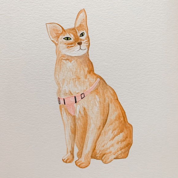 Pet Watercolors - Picture 2 of 2